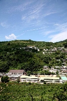 IMG_2363_edited-1.jpg