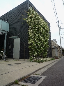 P1050525.JPG