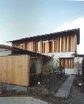 monikodo01.jpg