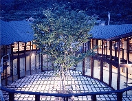 uchiko.jpg